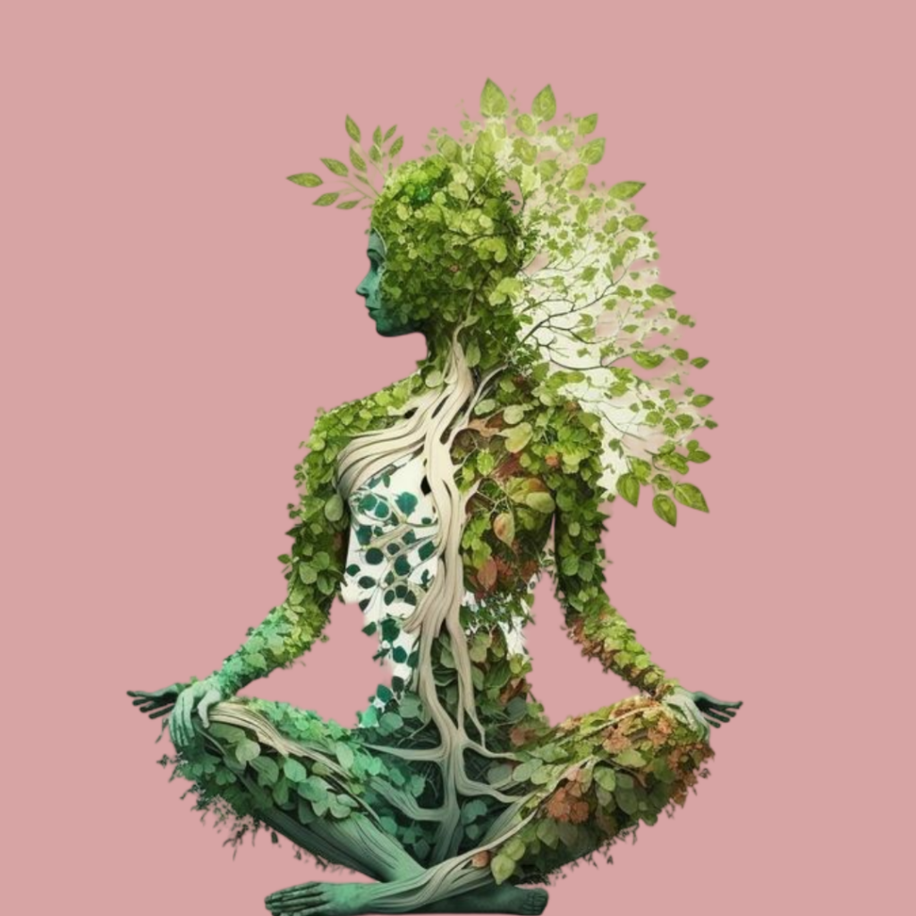 Journée de stage « Ecologie intérieure et connexion au vivant »