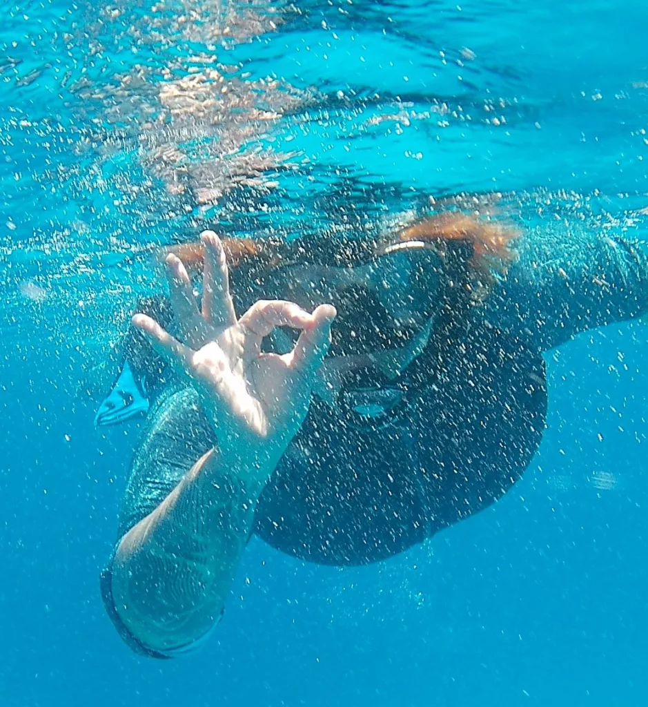 Nager avec les dauphins